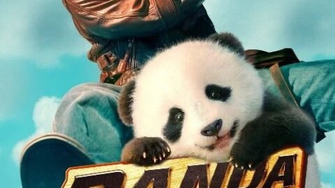 panda plan (2024) hindi dubbed movie